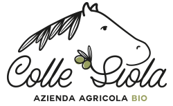 Colle Siola Castelforte Logo